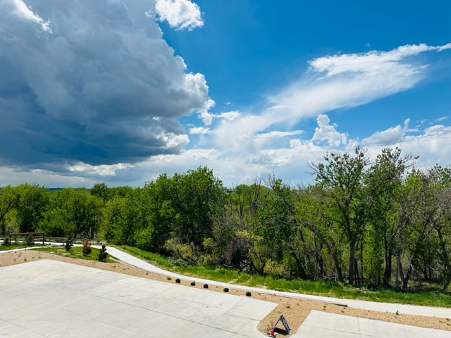9291 Twenty Mile Rd in Parker, CO - Building Photo