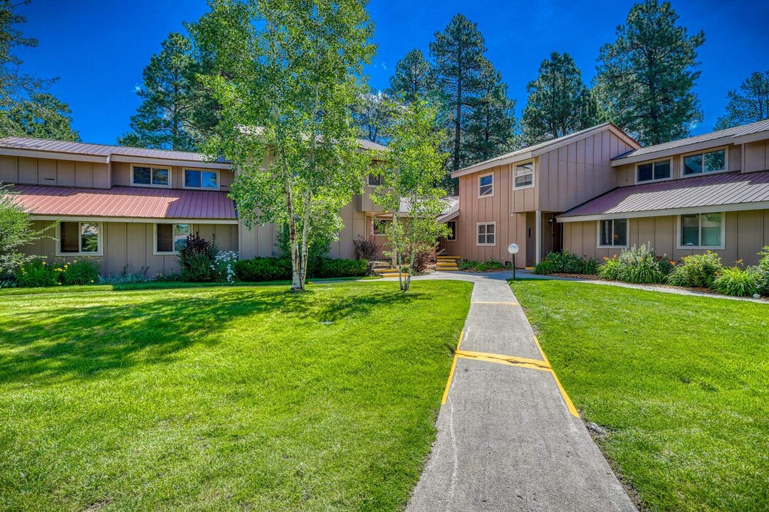 145 Davis Cup Dr in Pagosa Springs, CO - Building Photo