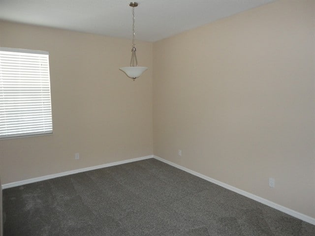 20313 Merry Oak Ave in Tampa, FL - Building Photo - Building Photo