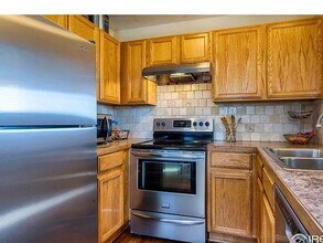 412 Galaxy Way in Fort Collins, CO - Building Photo - Building Photo