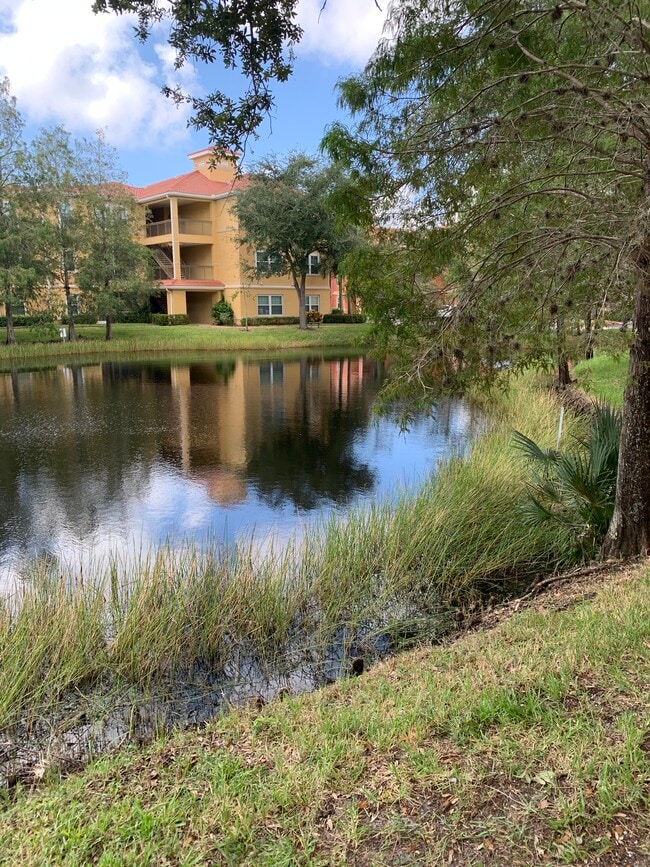 23560 Walden Center Dr, Unit 305 in Bonita Springs, FL - Foto de edificio - Building Photo