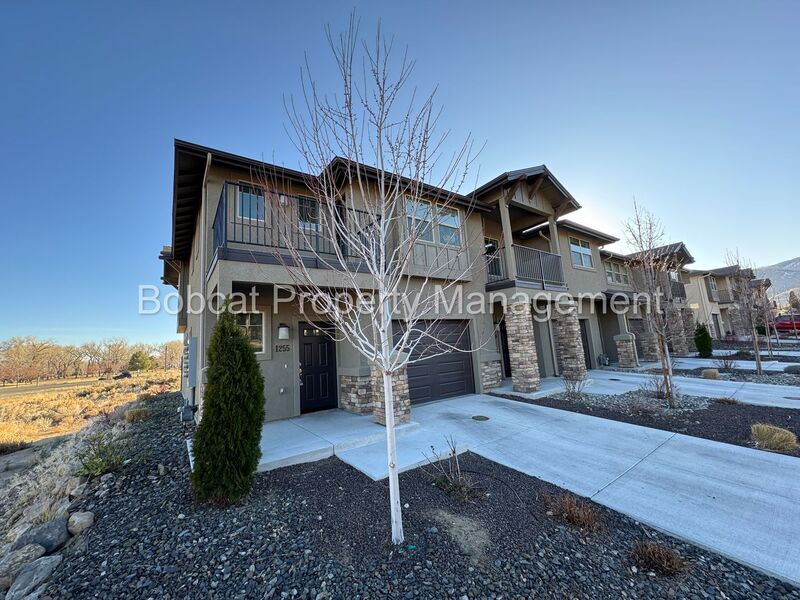 1255 Correlli Ct in Carson City, NV - Building Photo