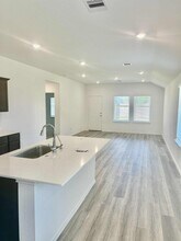 1002 Muscadine Vine Ln in Houston, TX - Building Photo - Building Photo