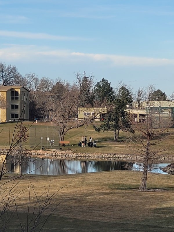 property at 710 S Alton Way