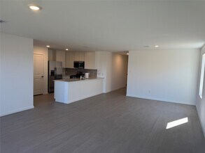 2519 American Ruby Dr in Rosharon, TX - Building Photo - Building Photo