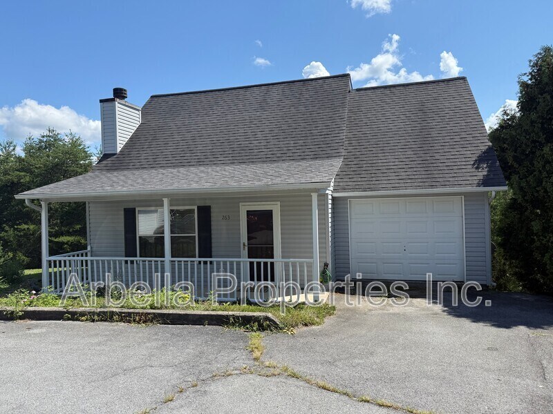263 Copper Hill Dr in Johnson City, TN - Foto de edificio