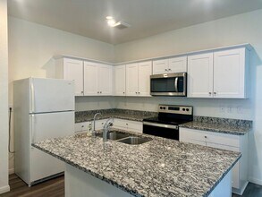 207 Waterbuck Lp in Hutto, TX - Building Photo - Building Photo