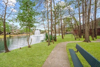 31114 Lakeview Bend Ln in Spring, TX - Building Photo - Building Photo