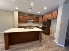 42168 N Fern Leaf St in San Tan Valley, AZ - Building Photo - Building Photo
