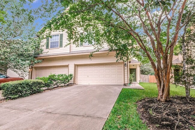 87 N Burberry Park in Spring, TX - Foto de edificio - Building Photo