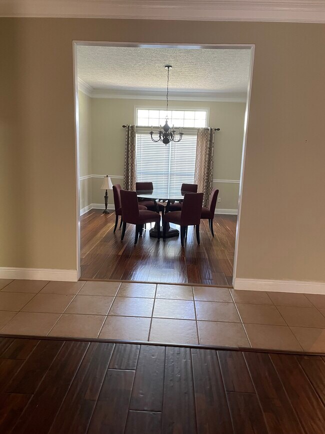 809 Balboa Ave in Panama City, FL - Building Photo - Building Photo