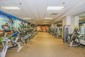 480 N McClurg Ct, Unit 618 in Chicago, IL - Building Photo - Building Photo