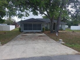 443 Flamingo Ct in Kissimmee, FL - Building Photo