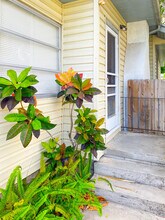 1802 Tangerine St in Melbourne, FL - Foto de edificio - Building Photo