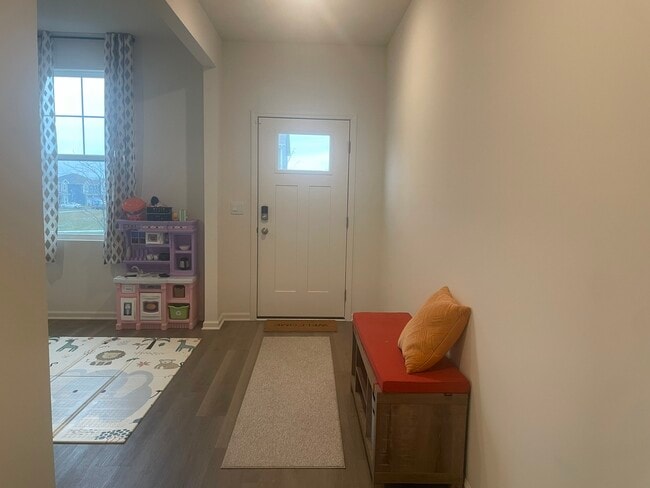 1347 Tiger Lily Dr in Bartlett, IL - Building Photo - Building Photo