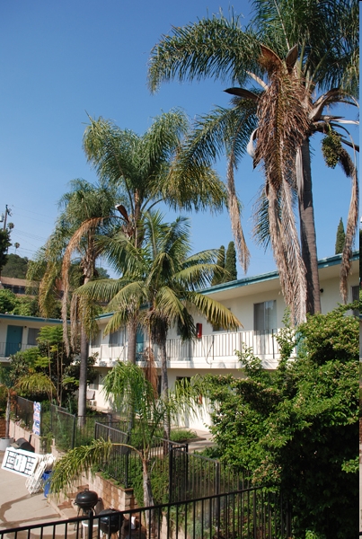 The Palms Apartments in Santa Barbara, CA - Building Photo - Building Photo