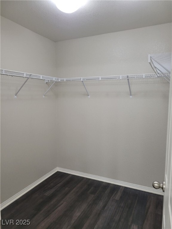 property at 3819 N Celcius Pl