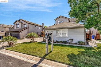 2435 Pinehurst Ct in Discovery Bay, CA - Building Photo - Building Photo