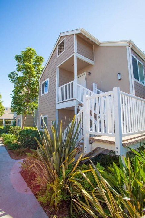 34120 Selva Rd in Dana Point, CA - Building Photo