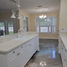 1005 Misty Hollow Ln in Tarpon Springs, FL - Building Photo - Building Photo