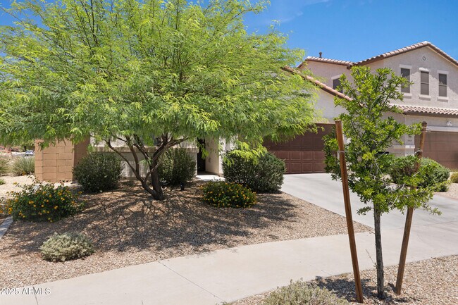 16658 W Mescal St in Surprise, AZ - Building Photo - Building Photo