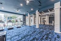 The Grayson at Baybrook in Friendswood, TX - Building Photo - Building Photo