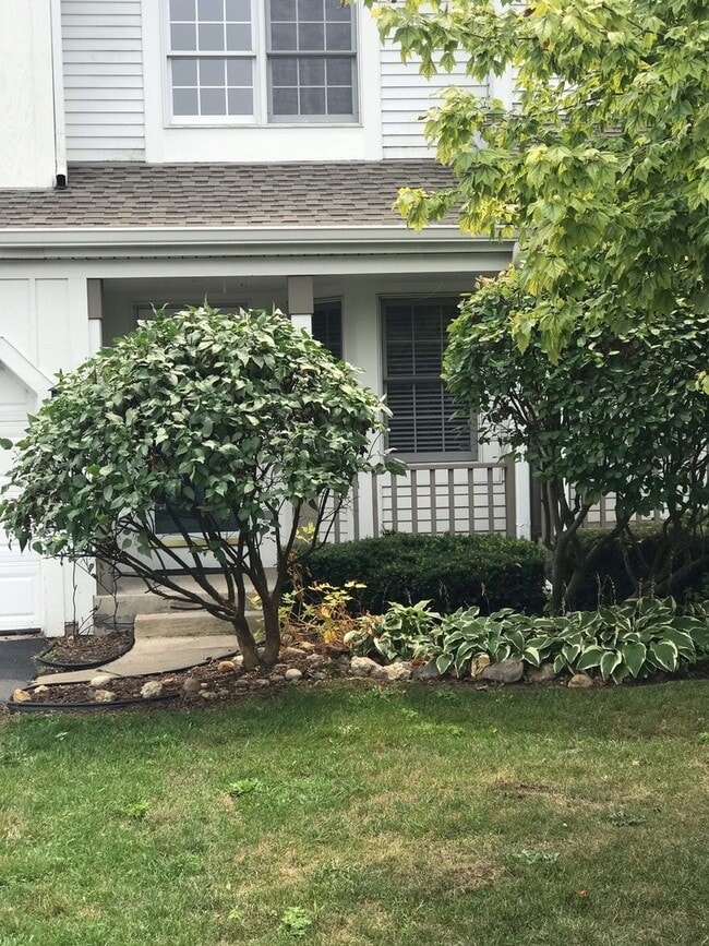 315 Spring Point Dr in Carpentersville, IL - Building Photo - Building Photo