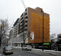 Viva Lofts in Montréal, QC - Building Photo - Building Photo