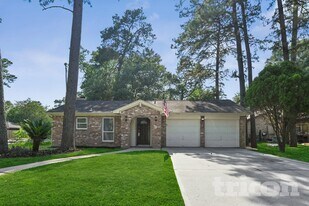 23107 Earlmist Dr in Spring, TX - Building Photo