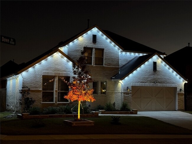 1220 Upland Dove Dr in Little Elm, TX - Building Photo - Building Photo