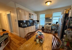 115 Browne St, Unit 115 Browne Street in Brookline, MA - Building Photo