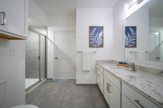 Caroline Lofts in Houston, TX - Building Photo - Interior Photo