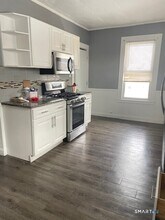 281 Chestnut St in New Britain, CT - Building Photo - Building Photo