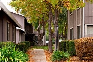 Courtyard Cottages in Sacramento, CA - Building Photo