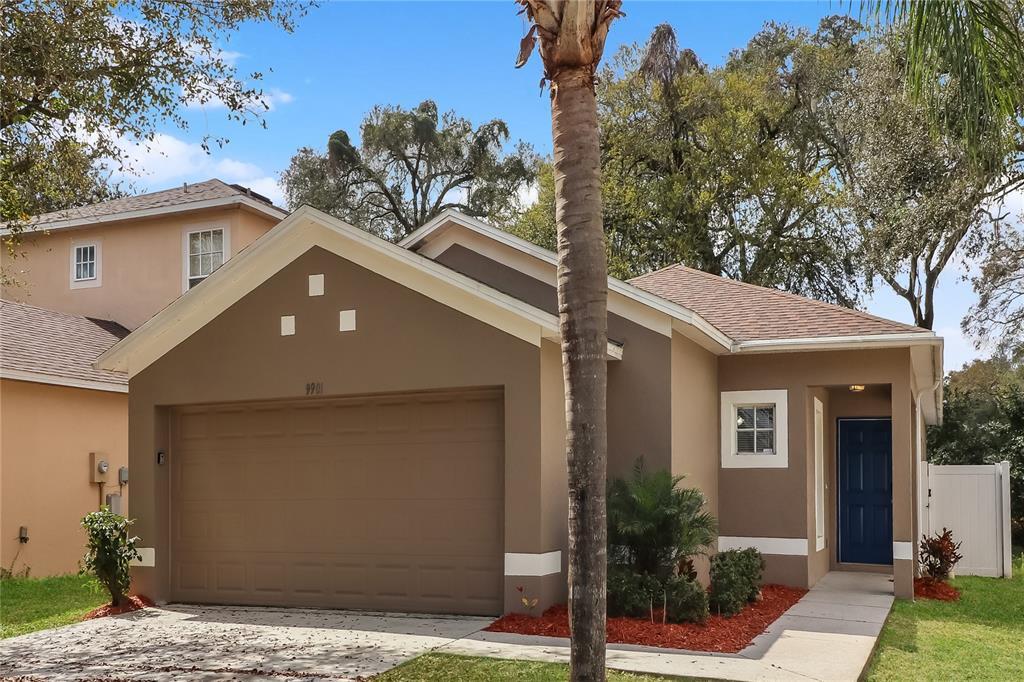 9901 Morris Glen Way in Tampa, FL - Building Photo
