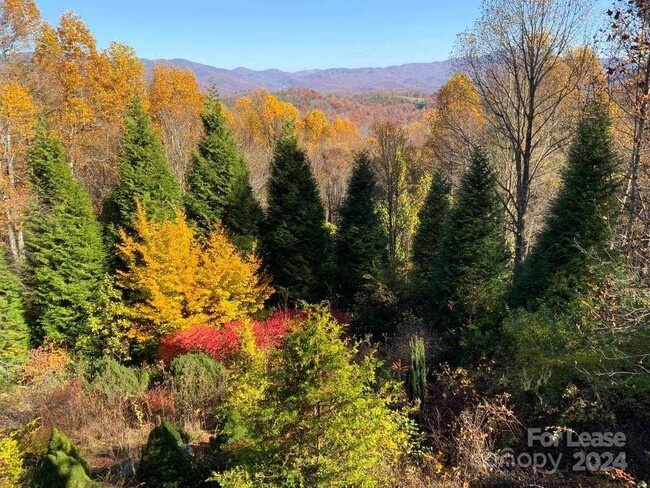 14 Ebby Ridge Rd in Fairview, NC - Foto de edificio - Building Photo