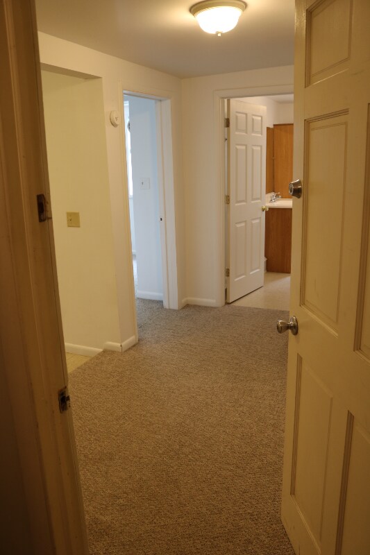 241 Elm St-Unit -2 in Albany, NY - Building Photo - Building Photo