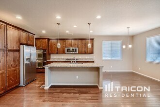 14035 Hillrose Dr in Parker, CO - Foto de edificio - Building Photo