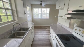 217 SW 11th Ct, Unit #2 in Fort Lauderdale, FL - Building Photo