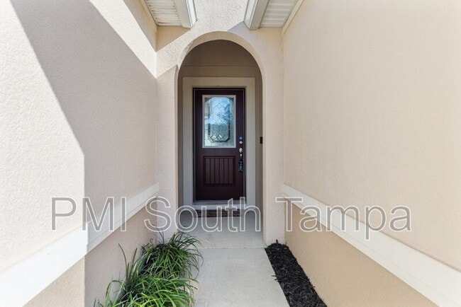 10602 Massimo Dr in Wimauma, FL - Building Photo - Building Photo
