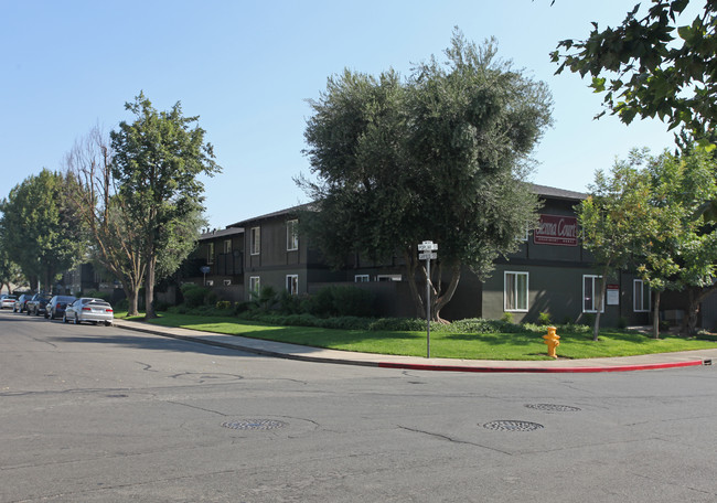 Sienna Court Apartments in Lodi, CA - Building Photo - Building Photo