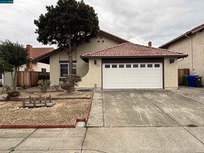 731 Crocus Dr in San Leandro, CA - Building Photo - Building Photo