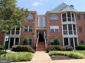 800 Amber Tree Ct in Gaithersburg, MD - Building Photo