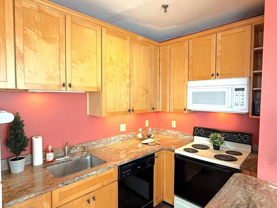 374 Chestnut Hill Ave, Unit 24 in Boston, MA - Building Photo