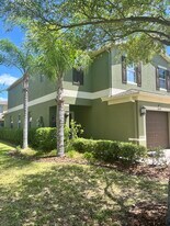 2819 Lantern Hill Ave in Brandon, FL - Building Photo