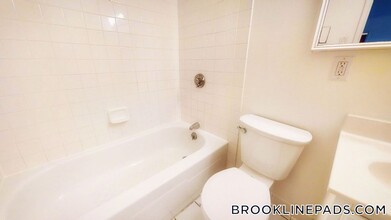 175 Freeman St in Brookline, MA - Building Photo - Building Photo