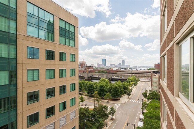 property at 10 Museum Way