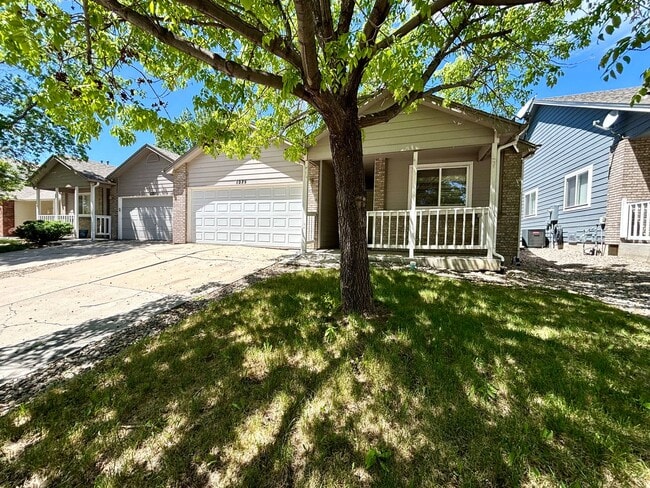 1275 Lavender Ct in Loveland, CO - Building Photo - Building Photo