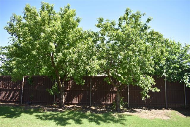 384 Spring Meadow Dr in Fairview, TX - Building Photo - Building Photo