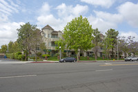 Cypress Pointe Senior Community in Cypress, CA - Building Photo - Building Photo